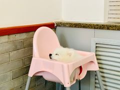 -燕北云山·农家菜·灶台鱼(密云溪翁庄店)
