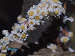 -成都许燎源现代设计艺术博物馆