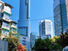 -紫峰大厦