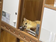 -汤姆宠物(长青北路店)