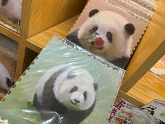 -熊猫邮局(少城店)