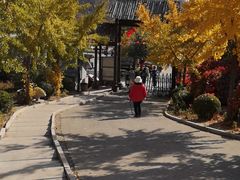 -遵化市禅林寺古银杏风景园