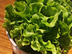 -金掌勺·锅包肉(双榆树店)