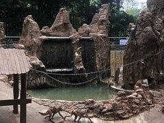 -南宁市动物园