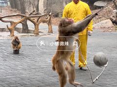 -洛阳花果山景区