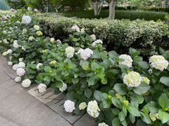 -常州古运河南大街文化旅游区-人民公园