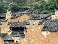 -杨家堂村