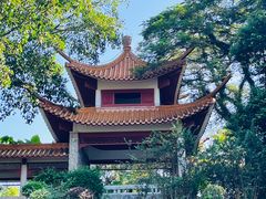 -深圳仙湖植物园