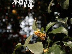 -杭州动物园