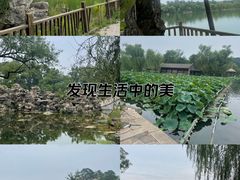 -承德避暑山庄景区