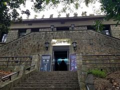 -紫金山山顶公园