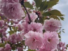 -长白岛森林公园