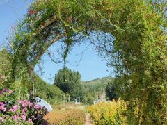 -紫海香堤香草艺术庄园