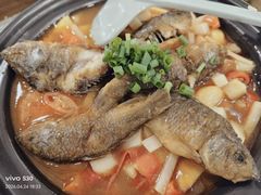 -金龙寨(龙城路店)