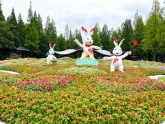 -东平国家森林公园