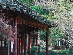 -上海醉白池公园