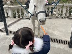 -J Create城市露营咖啡·简餐·宠物(上海动物园店)