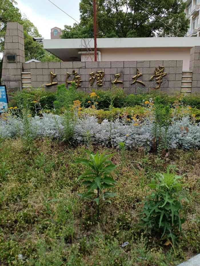 上海理工大学(军工路校区)-"母校必须全五星,不接受反驳,哈哈哈～～ .