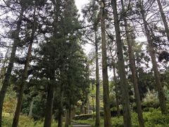 -溪口商量岗景区