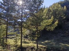 -苏木山森林公园