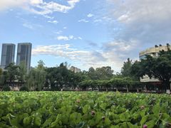 -西南交通大学(九里校区)