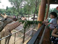 android_upload_pic-石家庄市动物园