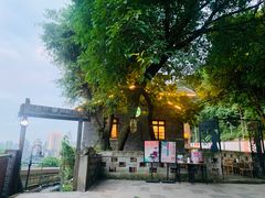 -茶泡饭(李子坝店)