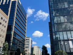 -秋叶原电器街
