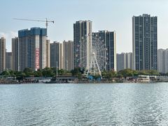 -飞来湖湿地公园