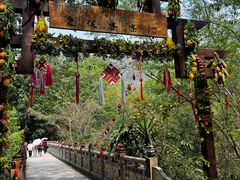 -西双版纳原始森林公园