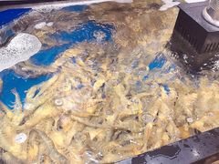 -亚马逊海鲜自助(梅溪湖步步高店)