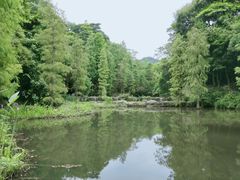 -云溪植物园