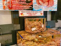 -蟹道乐(道顿堀本店)