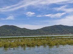 -创味·民间海南菜·非遗藤桥排骨(藤桥·免税城店)