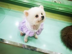 -观音桥步行街