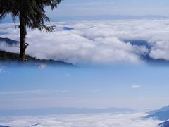 -云南屏边大围山国家公园