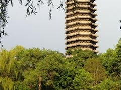 -博雅塔