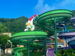 -重庆海昌加勒比海水世界