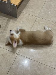 -Fr美发沙龙