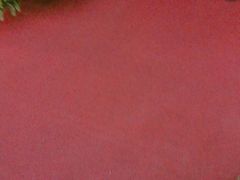 -乐天免税店(明洞店)