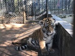 -西安秦岭野生动物园