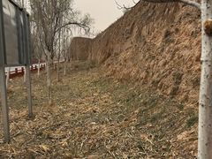 -陕北农家小吃风干羊肉剁荞面