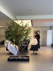 -付军剪艺JF ProSalon