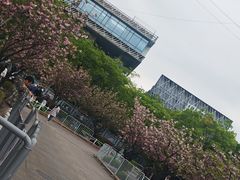 -嘉定紫藤园