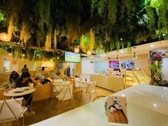 -Husky Go! 哈士奇体验馆·宠物咖啡厅狗咖