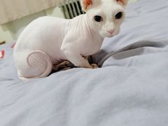 -北京恒爱动物医院(清景园分院)