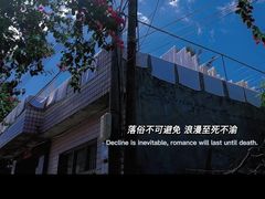 -万绿园