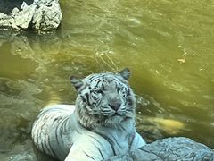 -北京野生动物园
