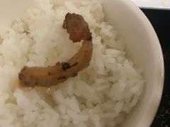 -胖哥家藏菜(护国路店)