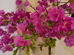 -瓦库茶馆17号(海汇港店)